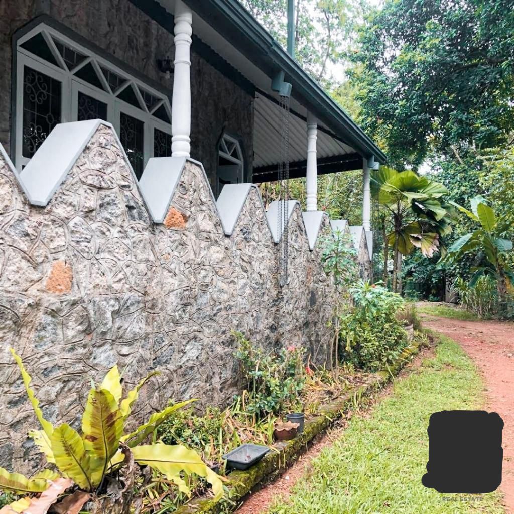 Comfortable Family Residence